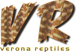 logo_Verona.png logo_Verona.png