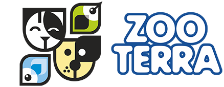 logo_h.png logo_h.png