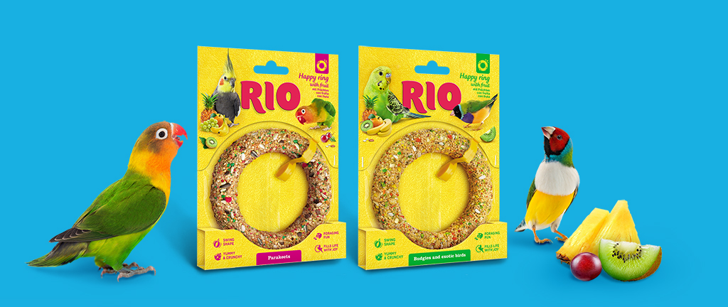 RIO_ring_1024х432.jpg